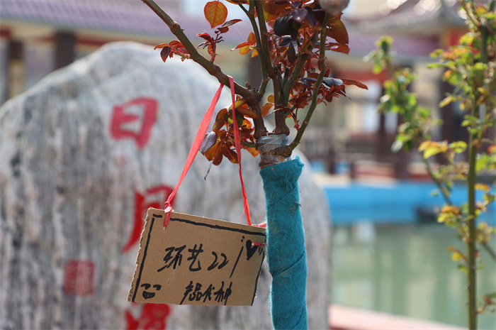 香港本港台开彩结果