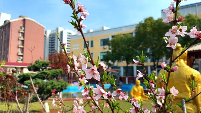 香港本港台开彩结果