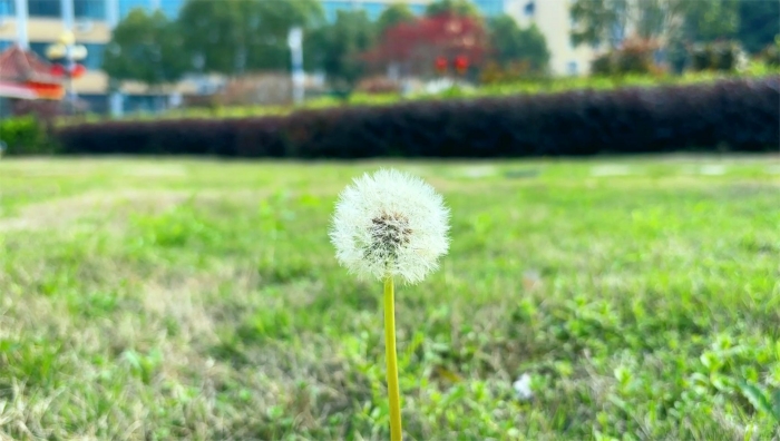 香港本港台开彩结果