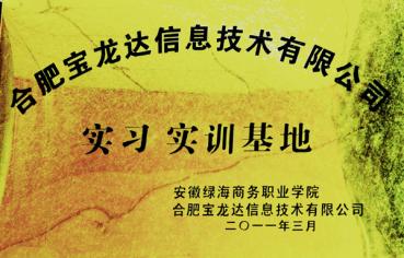 合肥宝龙达信息技术有限公司实习基地	