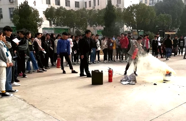 香港本港台开彩结果