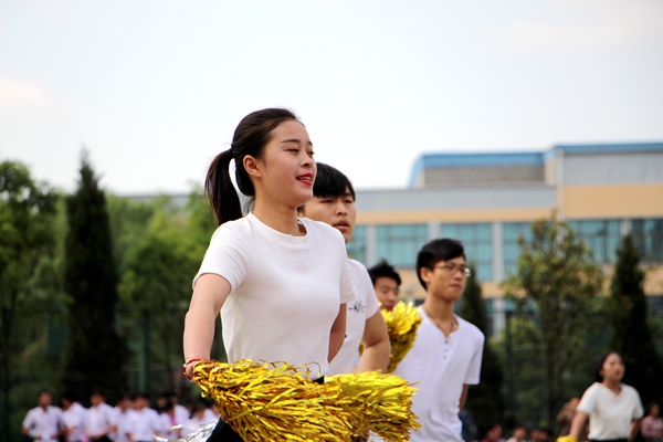 香港本港台开彩结果